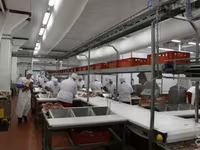 Солемеры внутри тела продукта со склада — zdjęcie 2