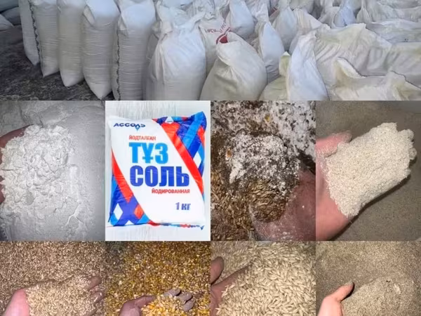 Продаю комбикорм био корм (6в1) состав ячмень кукуруза пшеница жмых