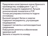 Корм для рыбы Yadish (Иран) Качественный плавающий корм иранского — عکس 3