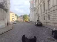 Cavalo, Hucul pony — foto 3