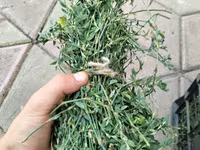 Продам мини тюки — foto 2