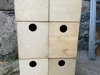 Կարելայի ձվադրման բներ — عکس 1