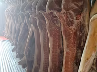 Карбонат свинина - Свежая продукция напрямую от поставщика. - — foto 2