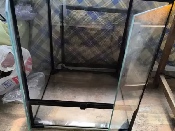 Սկիմեռ, լույս, տերարիում