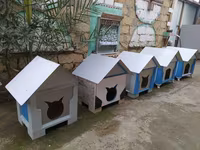 Salam yuvalar pişik ve balaca itlər üçün təzədi balacadan böyüyə — foto 1