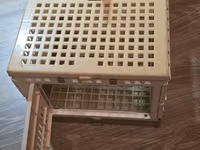 Quş və Hamster saxlamaq üçün qəfəs. Pişik və balaca itləri daşımaq — fotografija 1