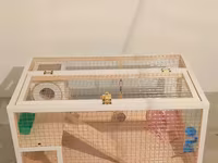 Hamster/kiçik gəmirici üçün geniş taxta — รูปภาพ 1