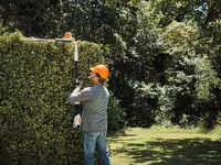 Инструменты Stihl для сада и участка — Бельцы и Сороки — تصویر 4