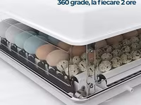 Incubator MS 63 — foto 3