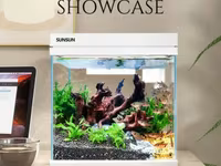 Գործարանային Ակվարիում SUNSUN HEJ-380 22լ, 4W LED (Аквариум, Aquarium) ԱՆՎՃԱՐ Առաքում Երևանում — عکس 1