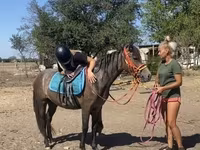 Klisna, Hucul pony — foto 8