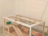 Hamster/kiçik gəmirici üçün geniş taxta — รูปภาพ 2