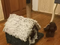 Pişik üçün ev və dırnaq itiləmə komplekti - Rahat qapalı pişik evi — foto 2