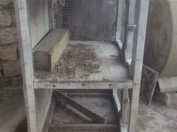 Taxta və metal torlu çoxbölməli qəfəs - Material: taxta karkas, ön və