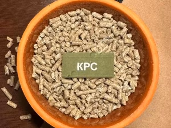 КРС Лактирующие