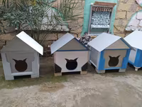 Salam yuvalar pişik ve balaca itlər üçün təzədi balacadan böyüyə — foto 2