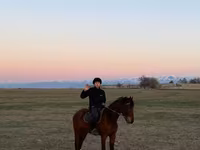 مادیان, اسب — عکس 2