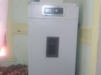 Inkubator 220voltga ishlaydi — 1. fotó