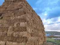 Խոդի տուկ խոդ խամի խոդ — รูปภาพ 5