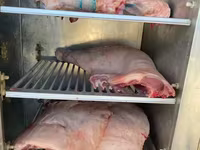 Խոզի Միս (Անտառի Պահած) — 1 зураг