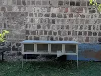 Նապաստակի բուն տնակ — عکس 1