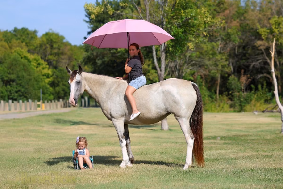 Skyros Pony
