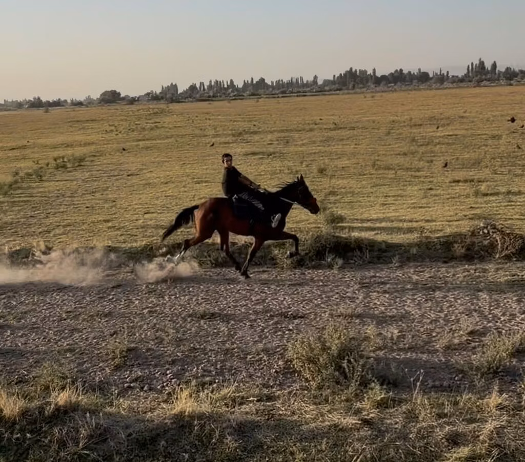French Trotter
